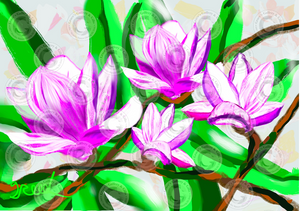 "Magnolias" Fine Art Print