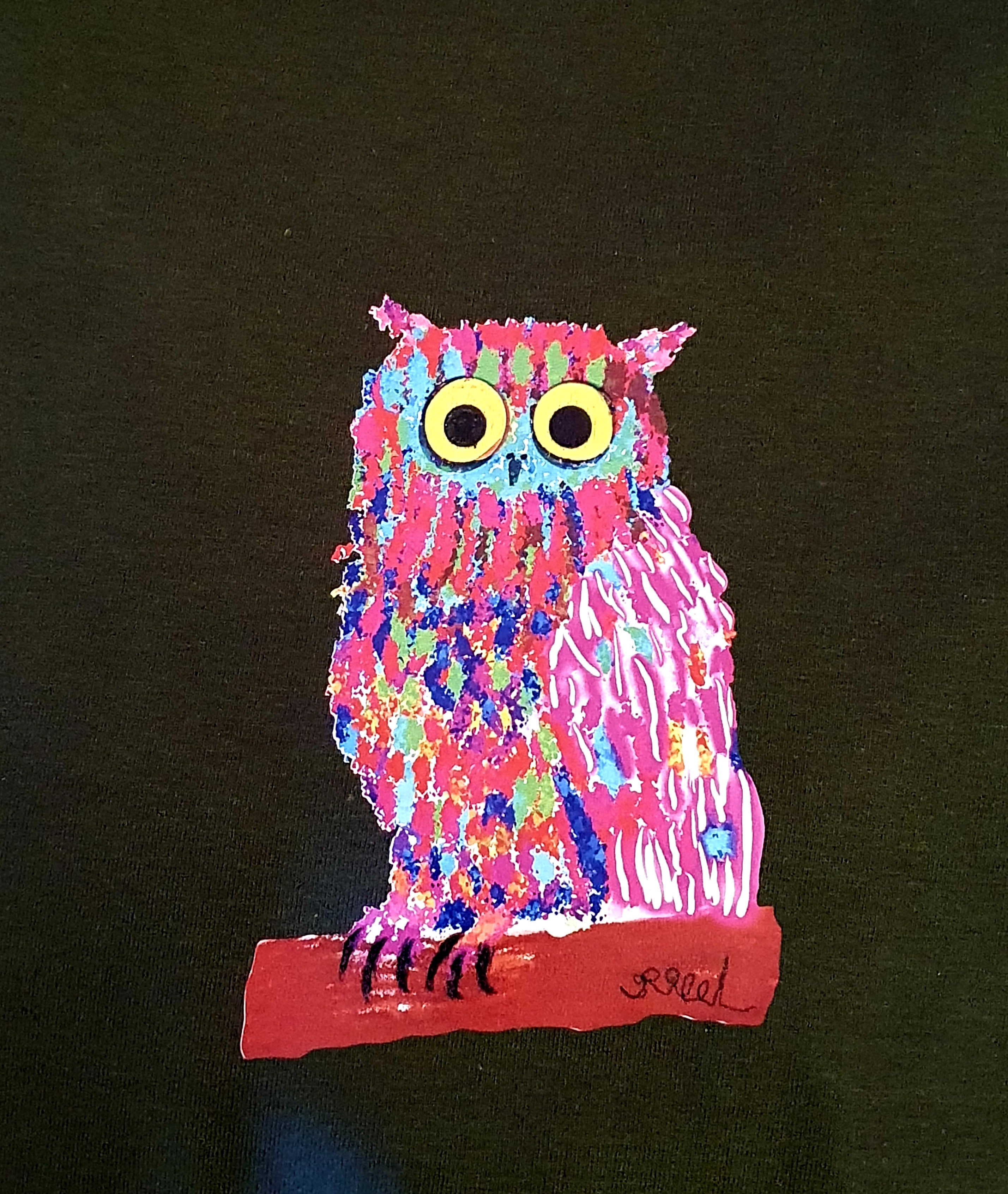 Wise owl- kids tshirts